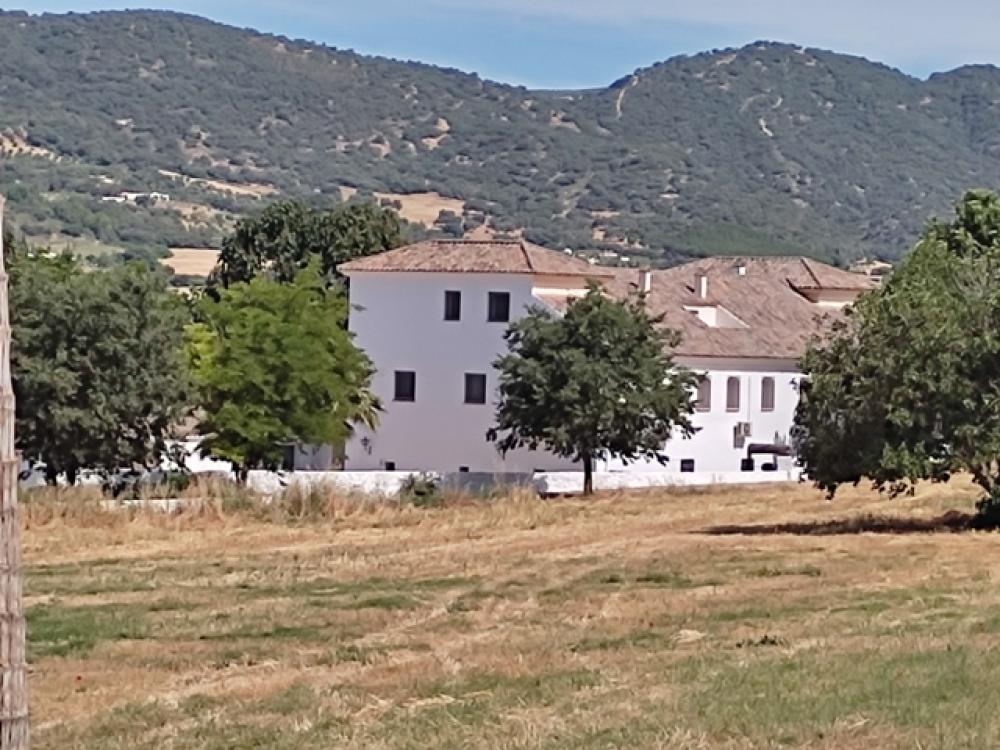  kaufen Hotel Ronda Serranía De Ronda 29