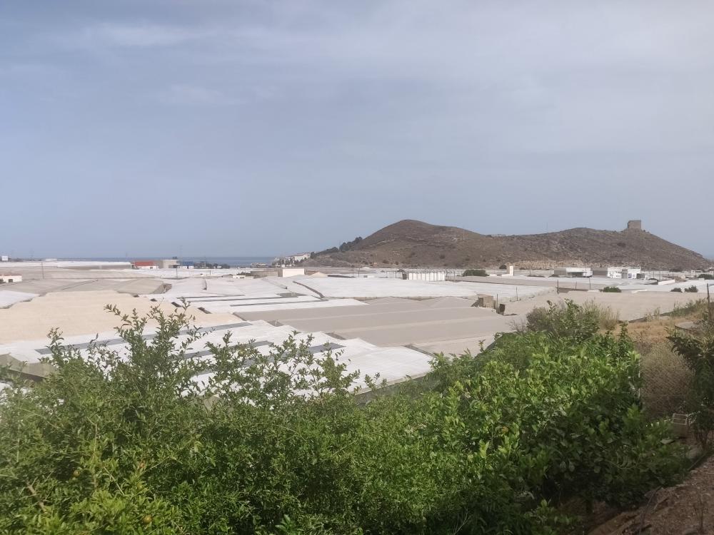  kaufen Grundstück Castell De Ferro Costa Tropical 2