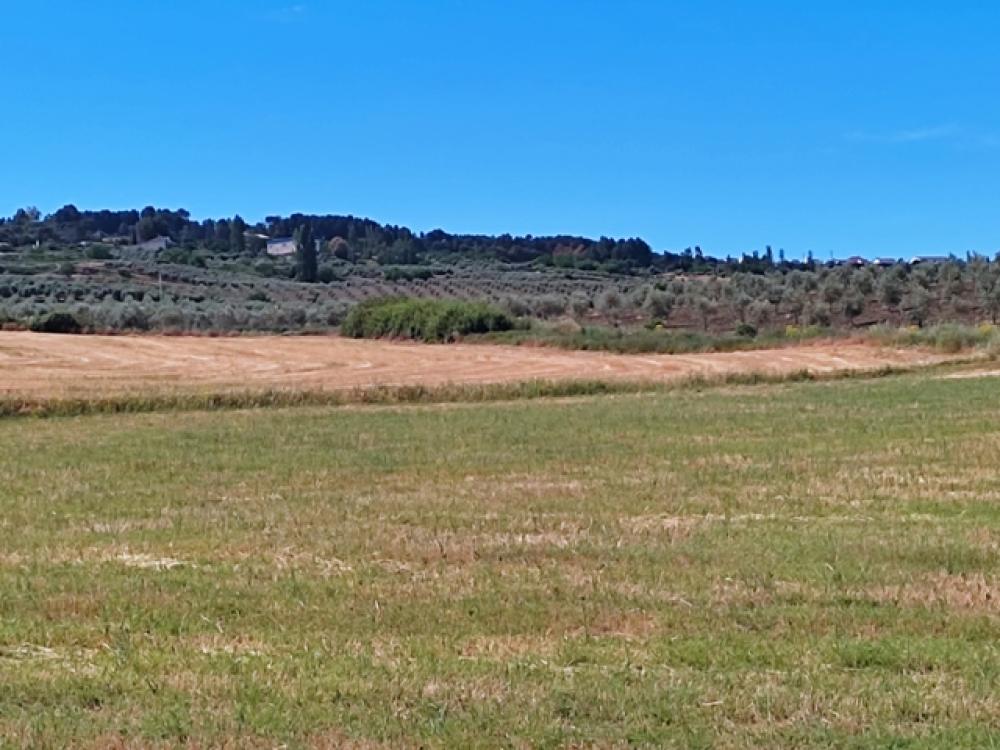  kaufen Hotel Ronda Serranía De Ronda 35