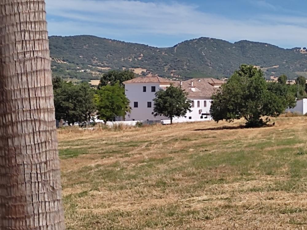  kaufen Hotel Ronda Serranía De Ronda 32