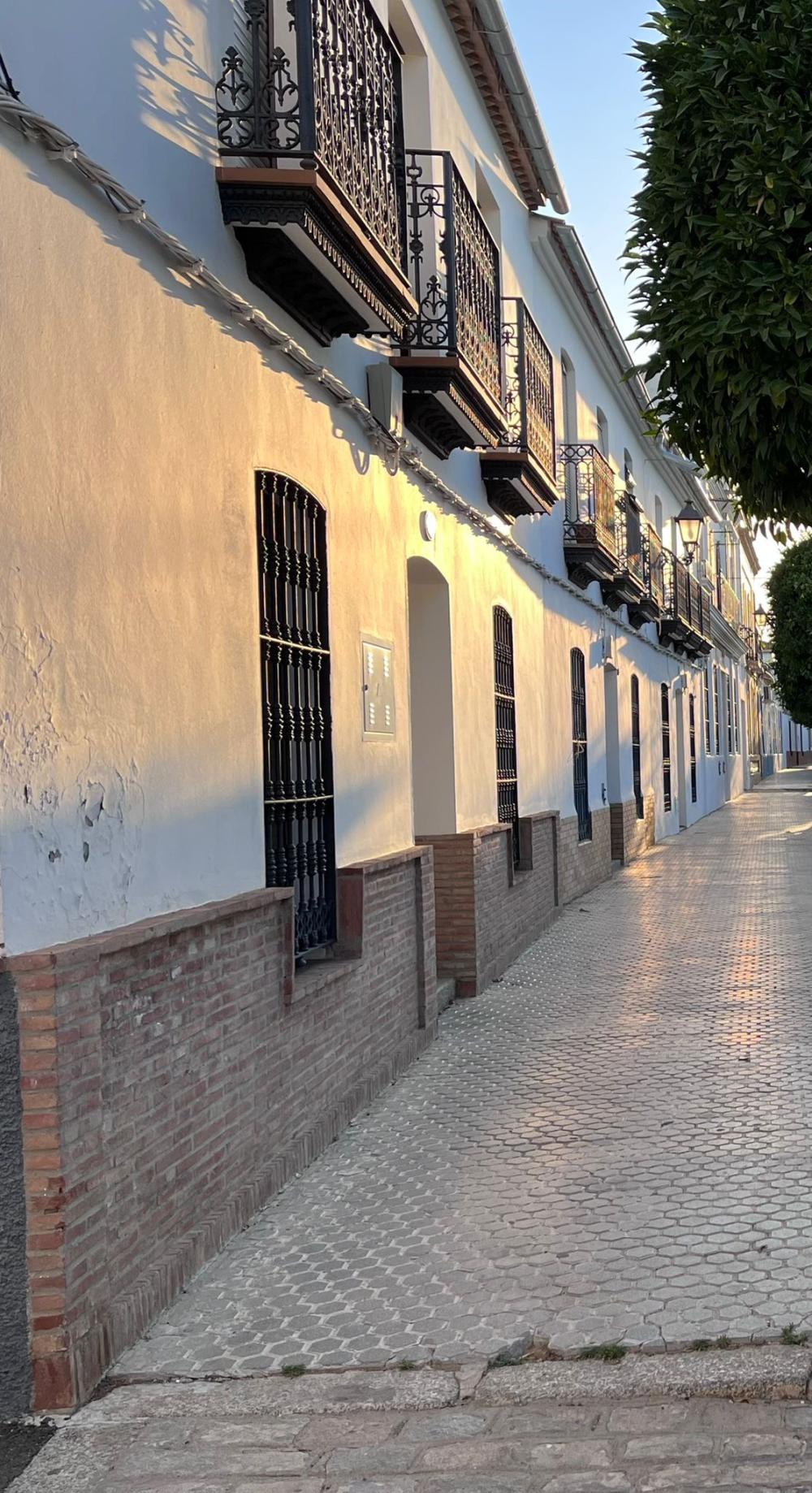  kaufen Haus El Pedroso Sierra Norte 48
