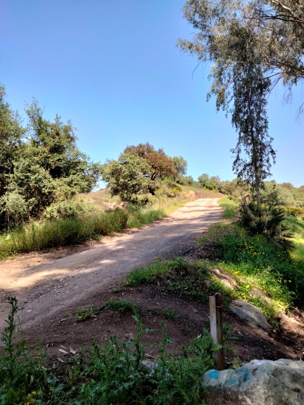  kaufen Gewerberaum Villanueva Del Río Y Minas Vega Del Guadalquivir 14