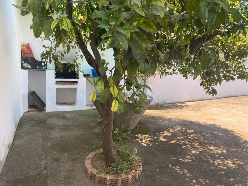  kaufen Haus El Pedroso Sierra Norte 41