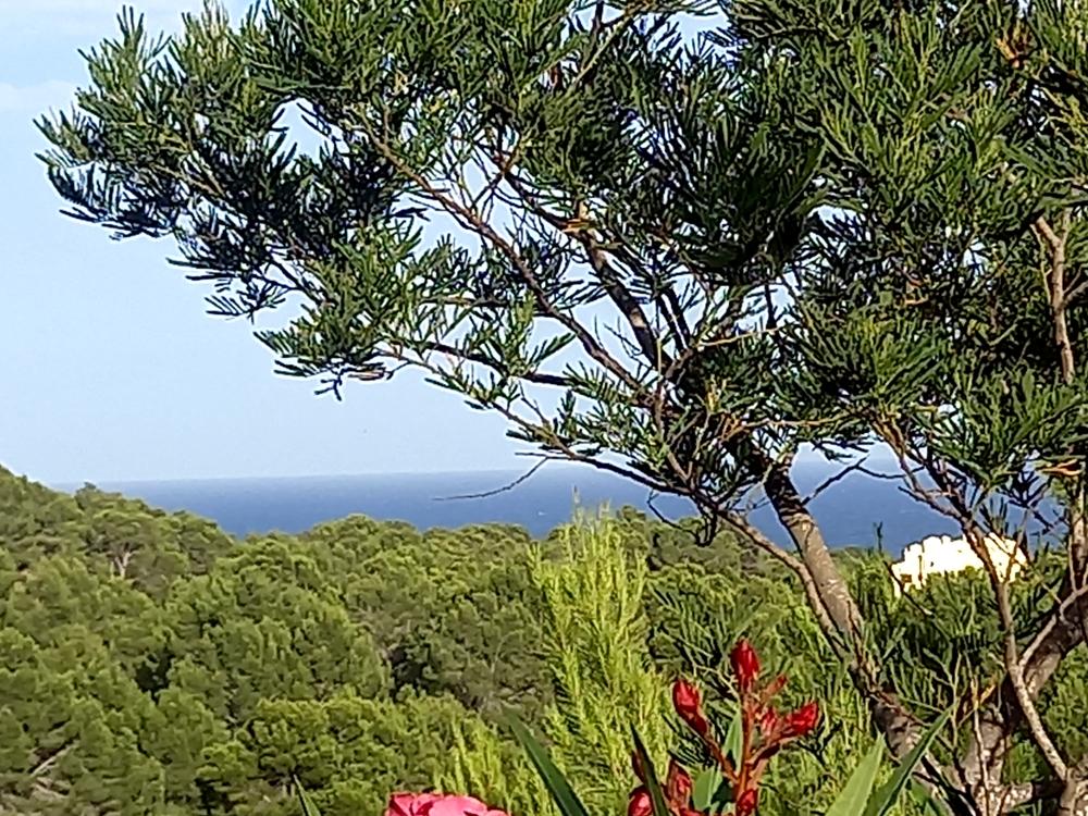  kaufen Villa Sierra De Altea Marina Baixa 14