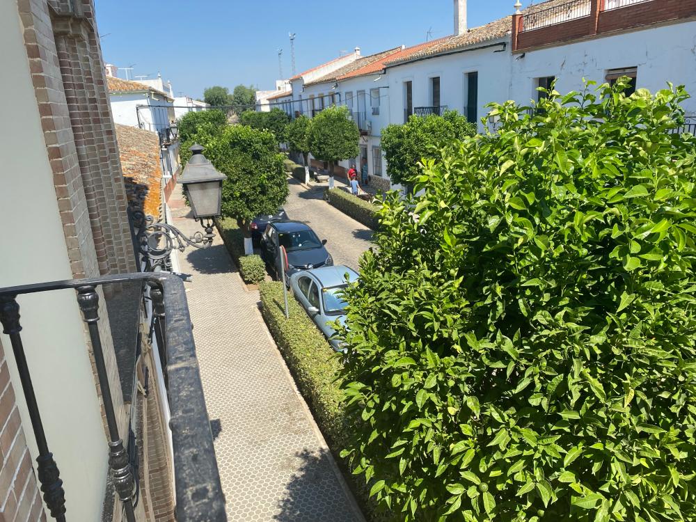  kaufen Haus El Pedroso Sierra Norte 25