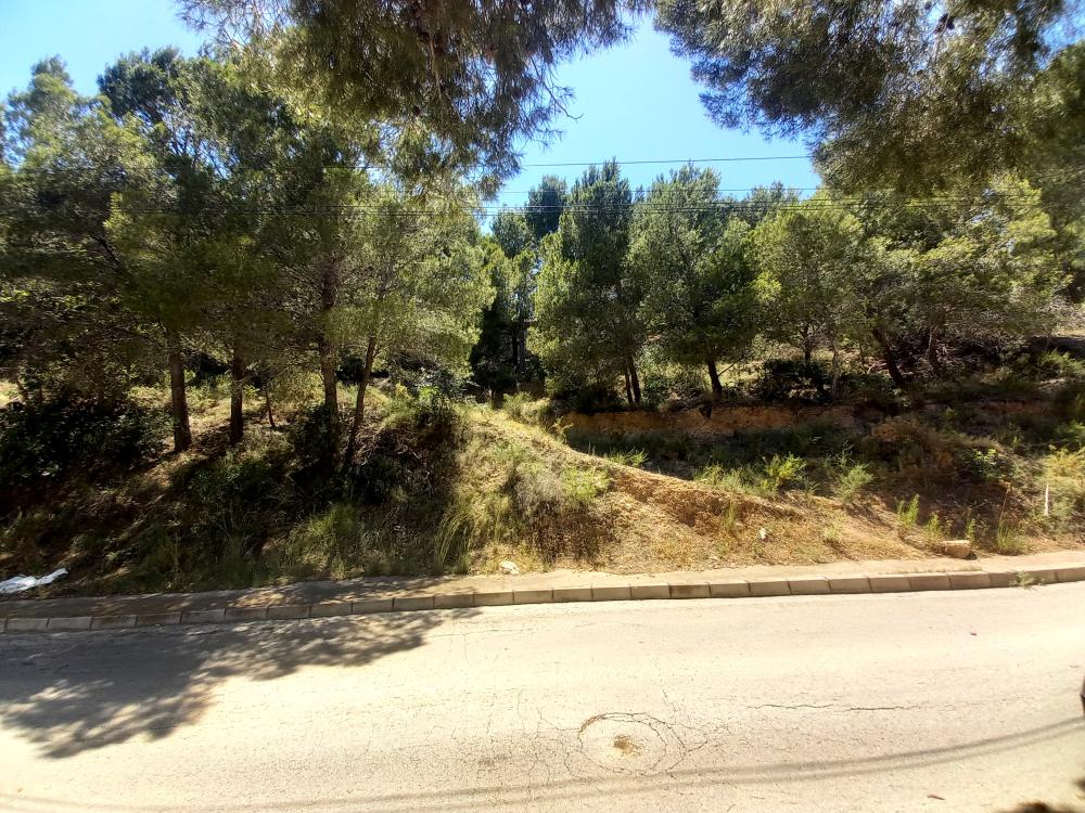  kaufen Grundstück Sierra De Altea Marina Baixa 6