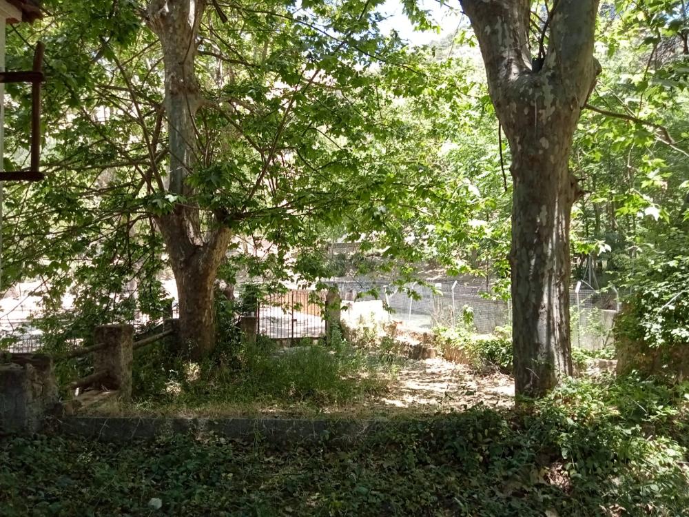  kaufen Villa Fuente Grande Vega De Granada 4