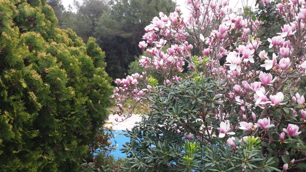  kaufen Villa Santa Eulàlia De Ronçana Vallès Oriental 8