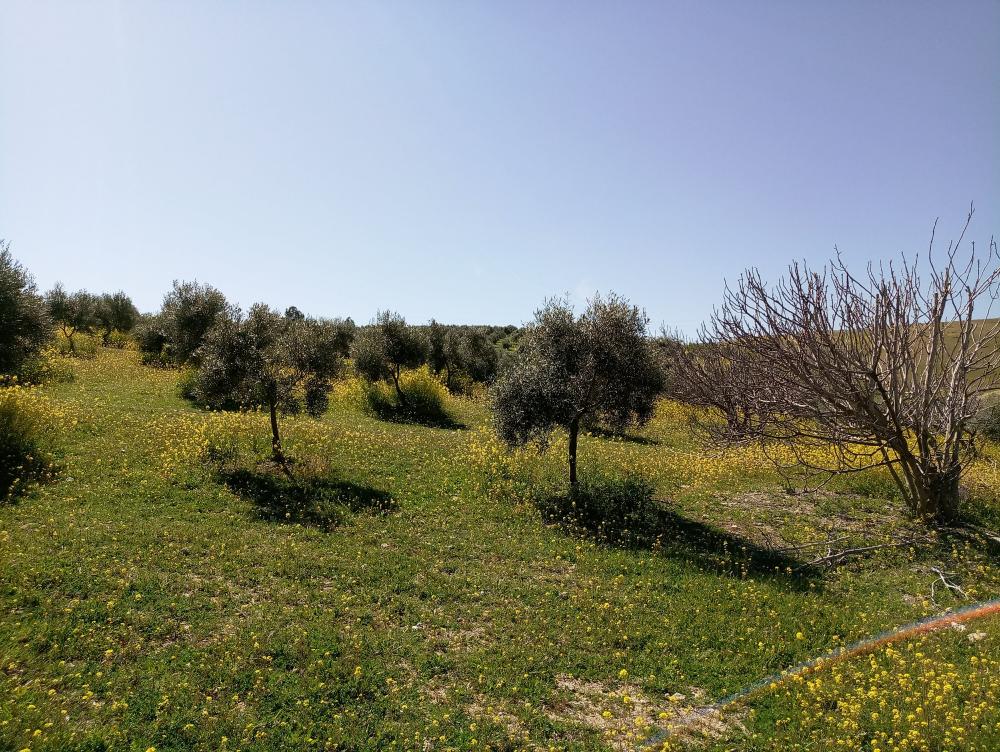  kaufen Landhaus Gabia Grande Vega De Granada 9