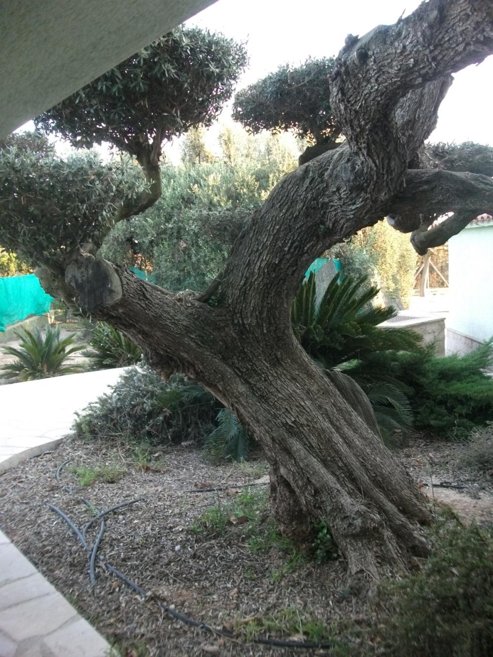  kaufen Landhaus Camarles Baix Ebre 12
