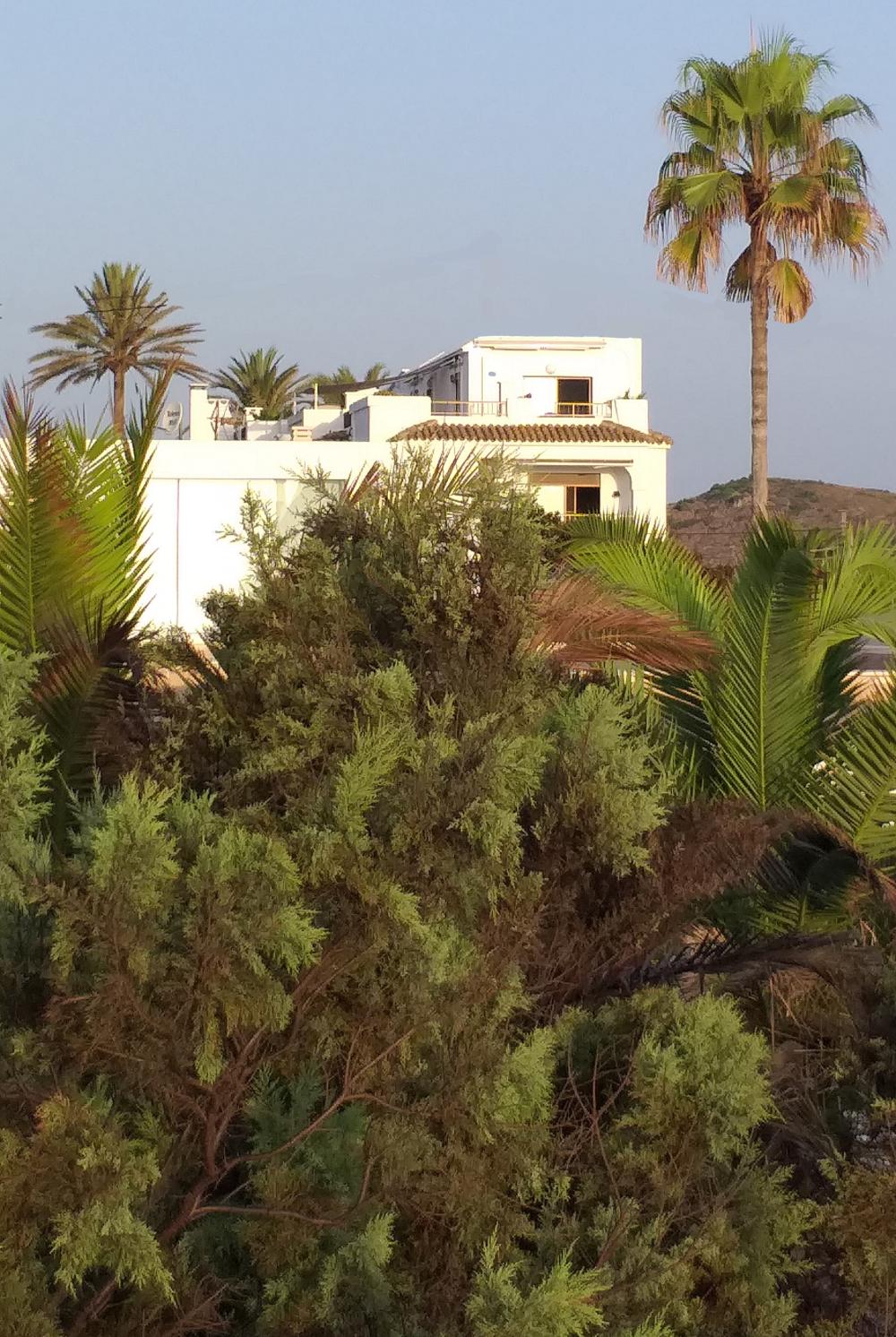  kaufen Penthouse El Dosel Ribera Baixa 2
