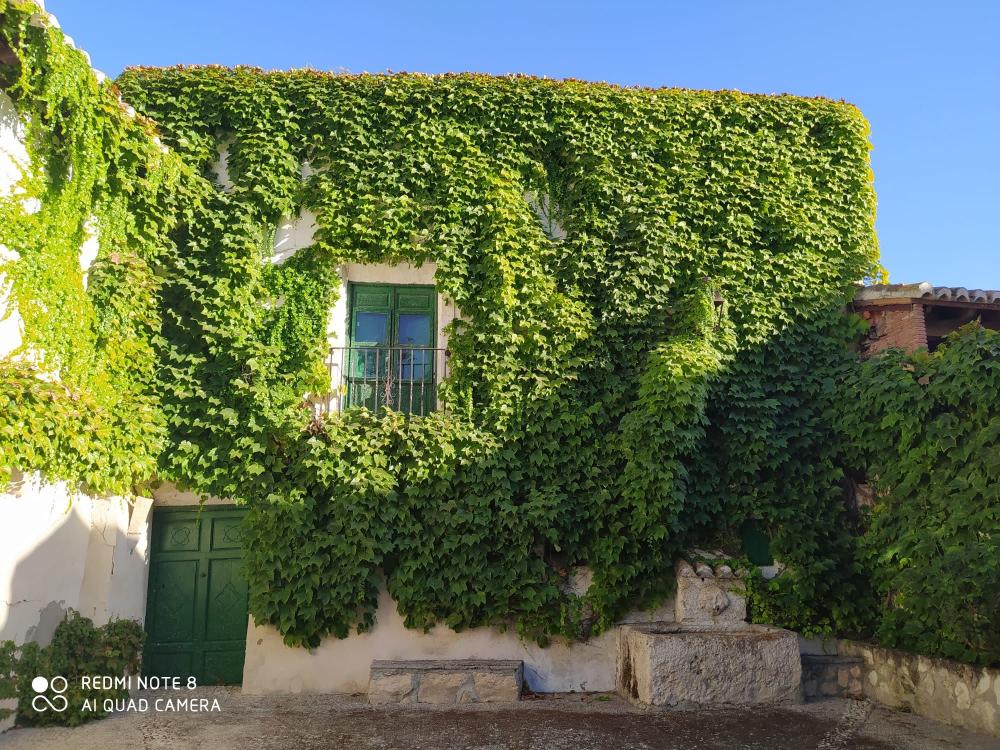  kaufen Haus Orce Huéscar 1