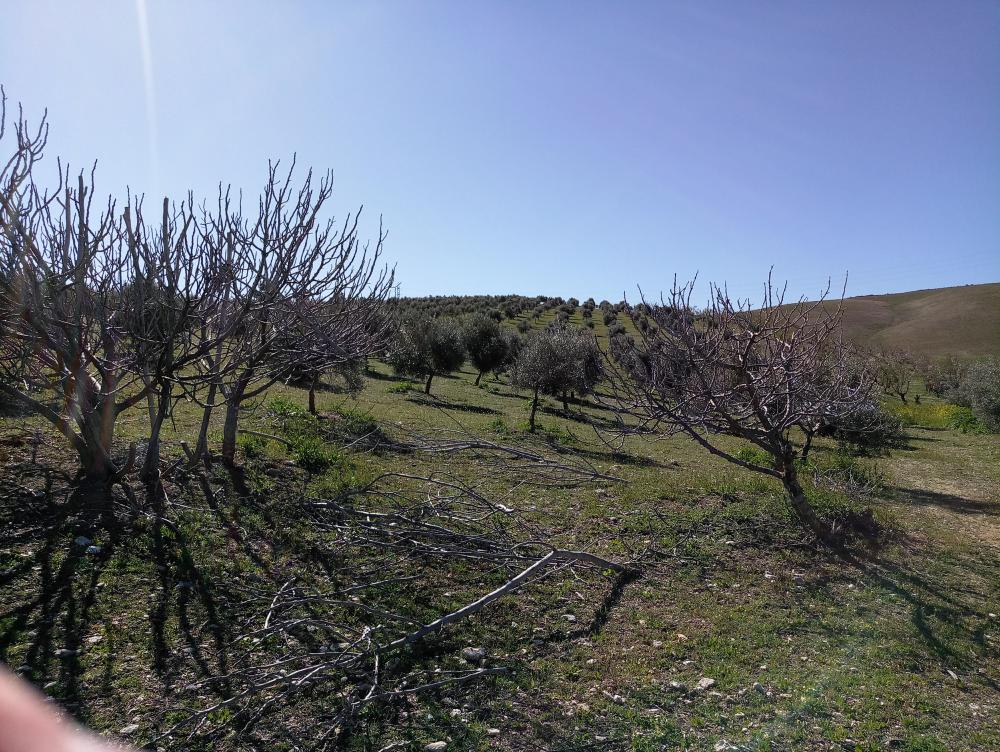  kaufen Landhaus Gabia Grande Vega De Granada 3