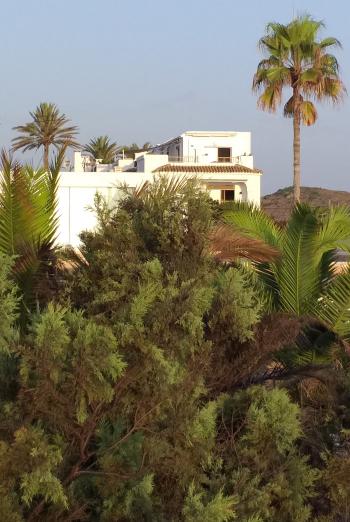 El Dosel Ribera Baixa Penthouse Bild 5075924