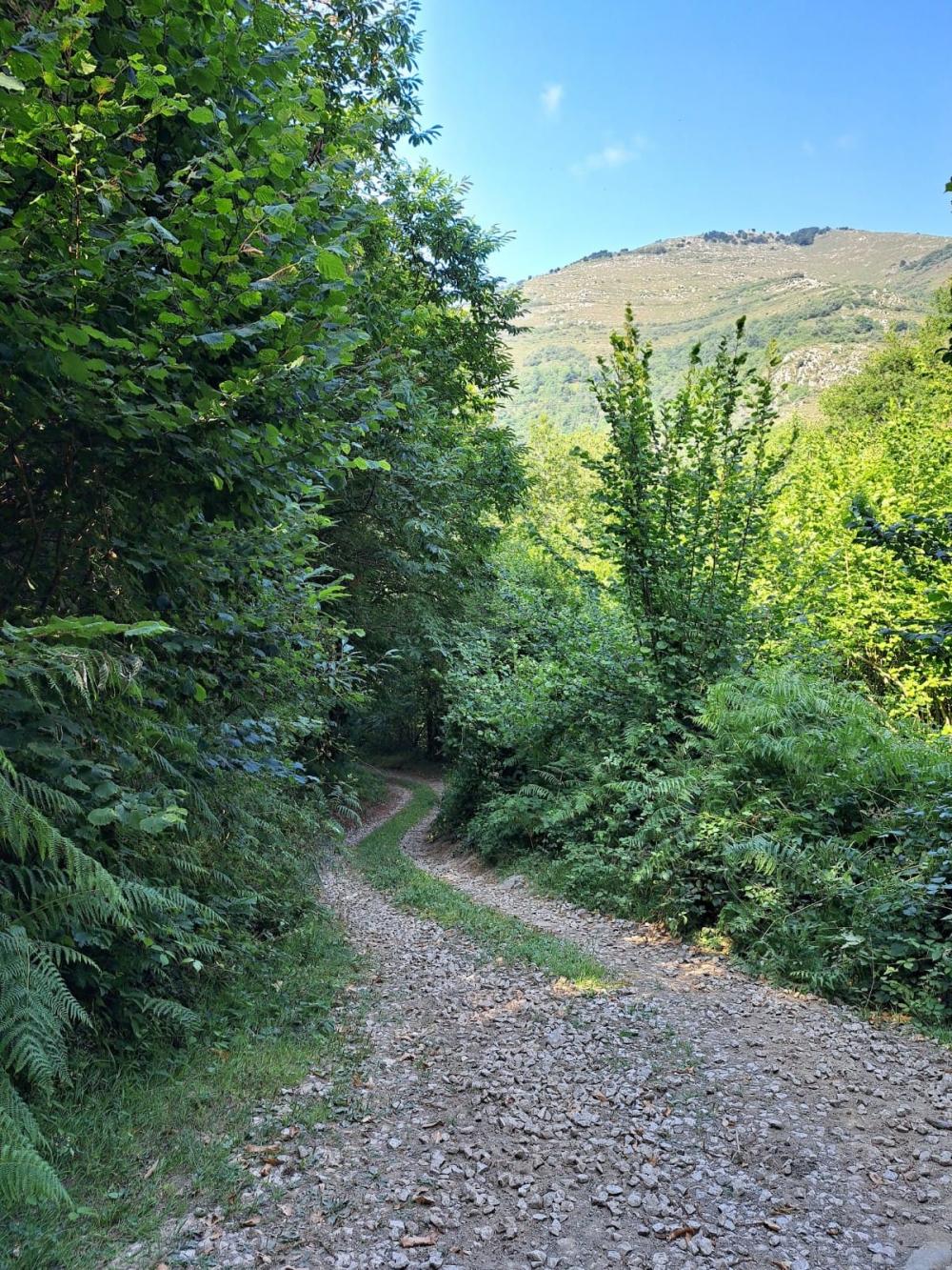  kaufen Landhaus Campo De Caso Nalón 19