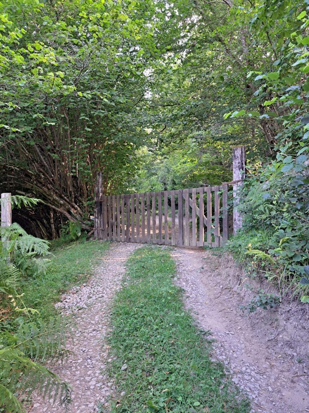  kaufen Landhaus Campo De Caso Nalón 46