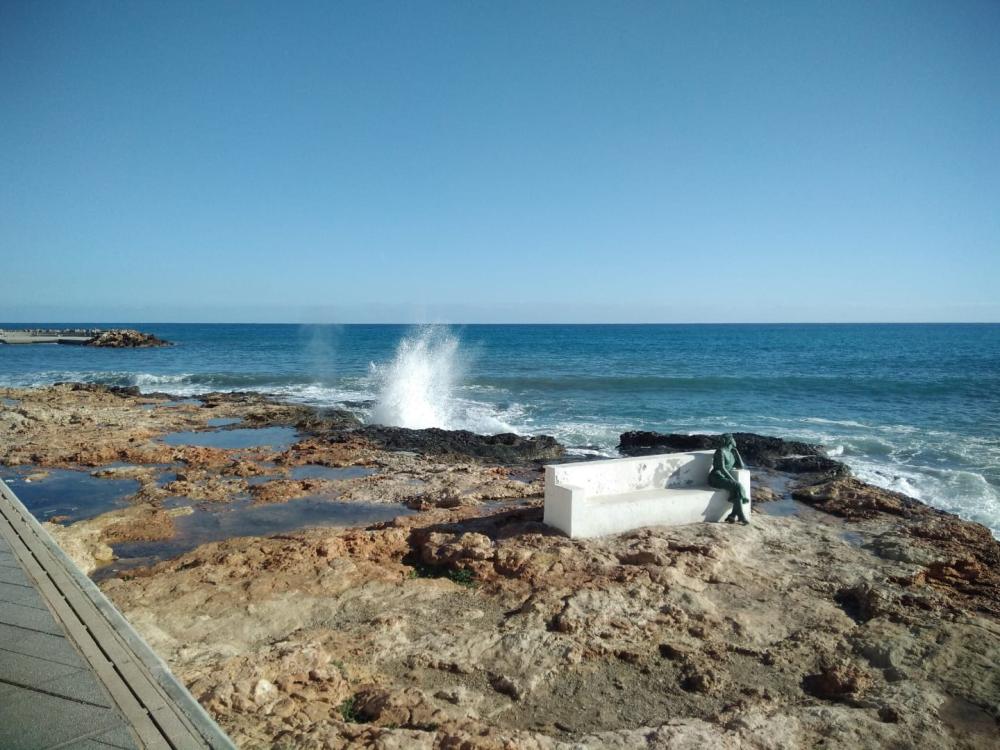  kaufen Wohnung Torrevieja Baix Segura 15