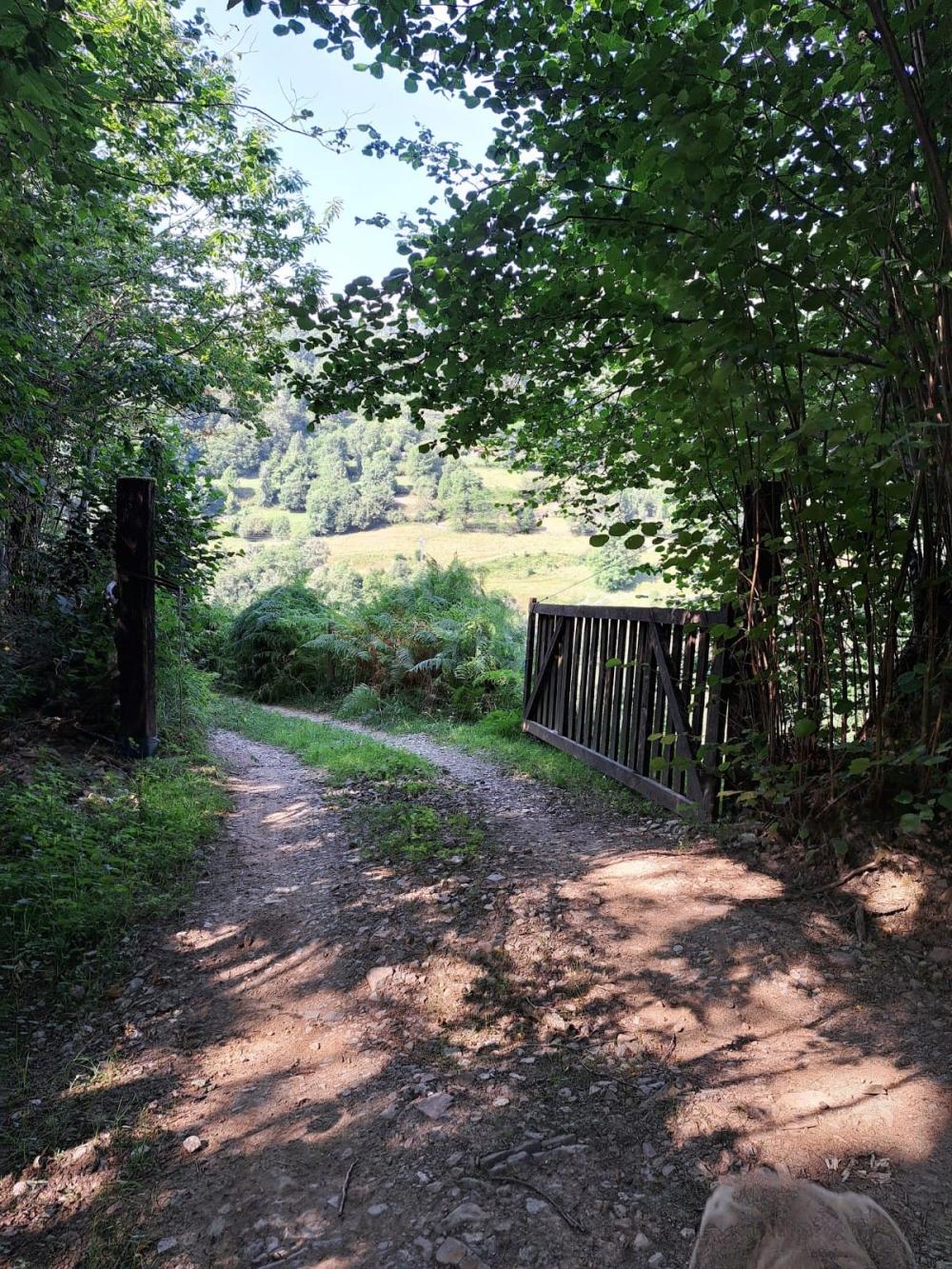  kaufen Landhaus Campo De Caso Nalón 26