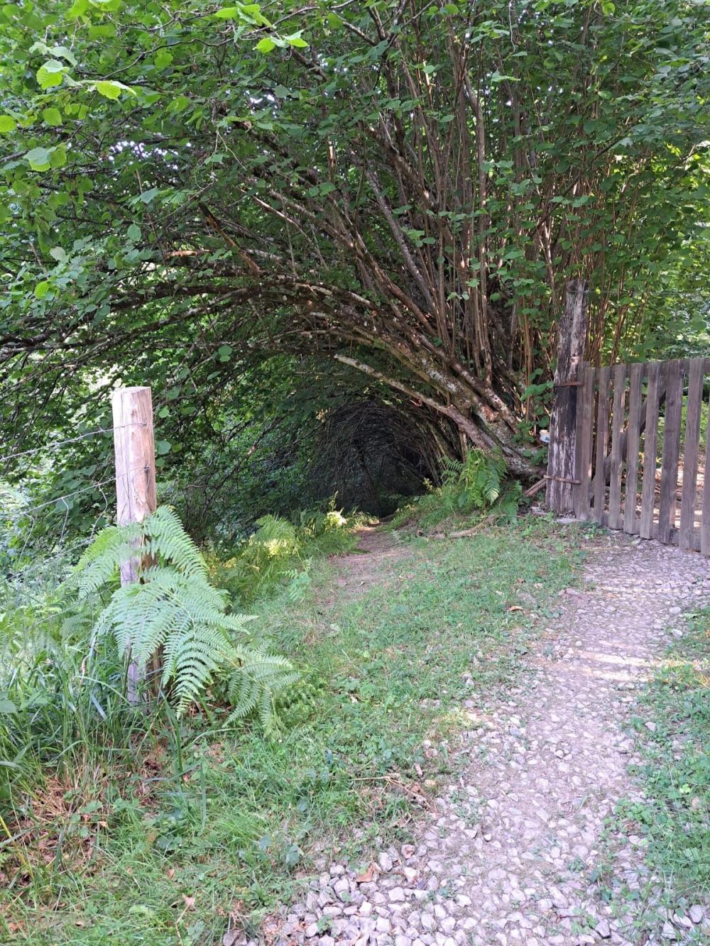  kaufen Landhaus Campo De Caso Nalón 47