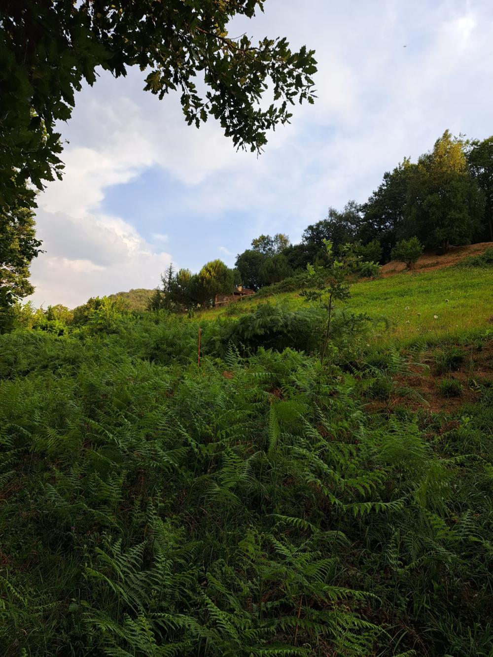  kaufen Landhaus Campo De Caso Nalón 15