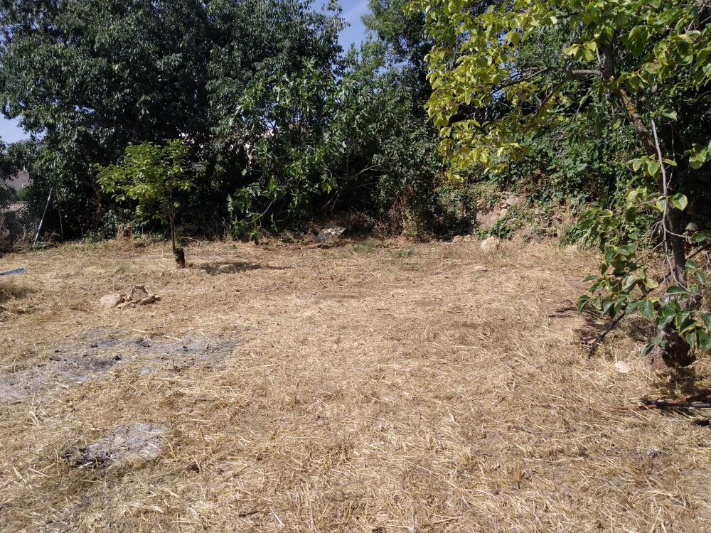  kaufen Villa Frailes Sierra Sur 6