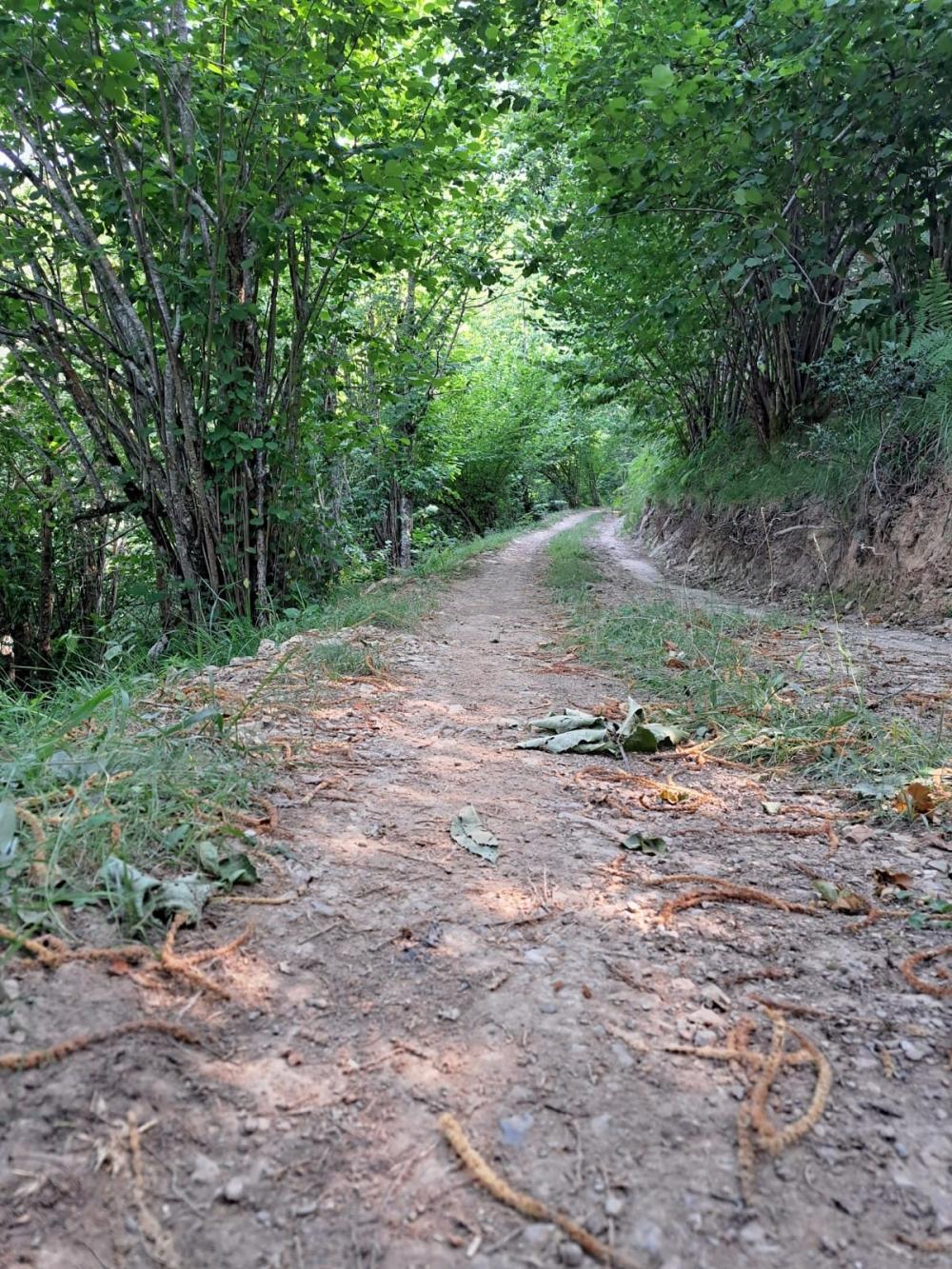  kaufen Landhaus Campo De Caso Nalón 16
