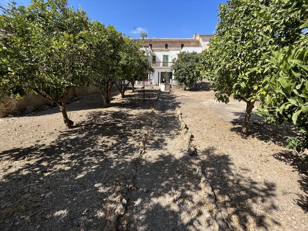  kaufen Haus Santa Maria Del Camí Raiguer 21