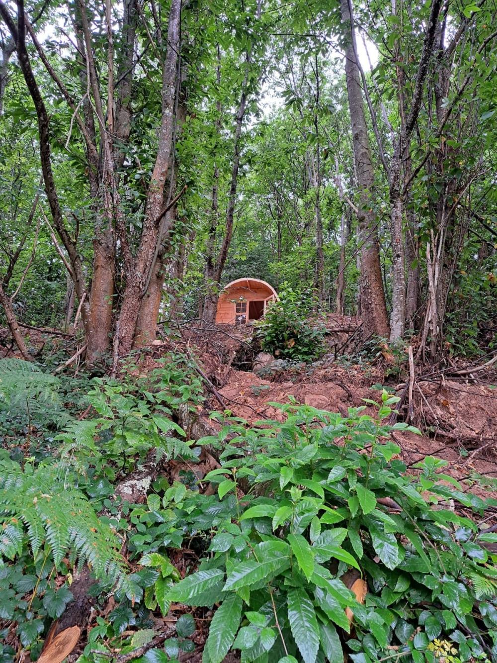  kaufen Landhaus Campo De Caso Nalón 55