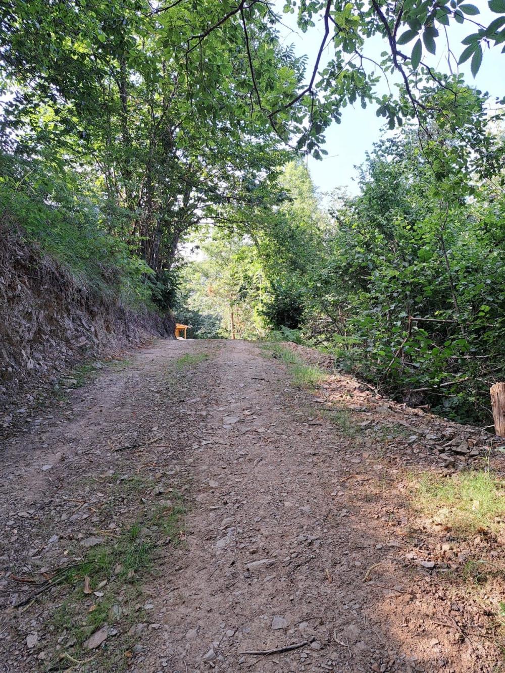  kaufen Landhaus Campo De Caso Nalón 48