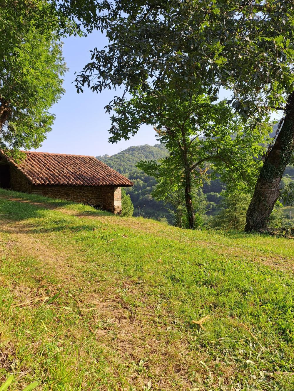  kaufen Landhaus Campo De Caso Nalón 10