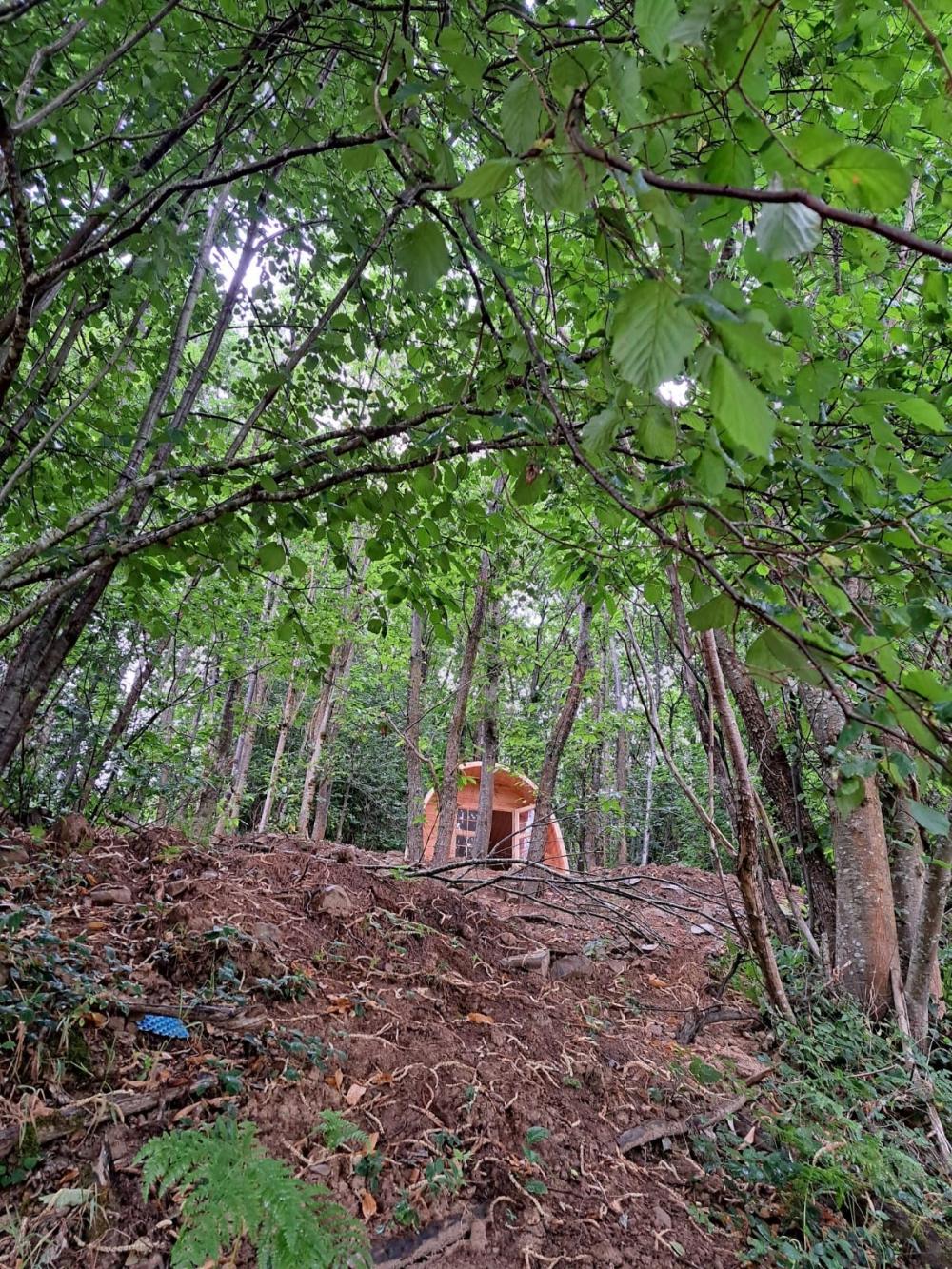  kaufen Landhaus Campo De Caso Nalón 54