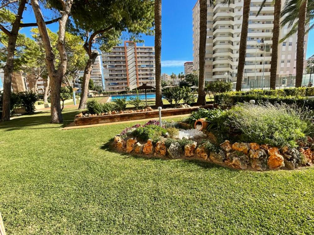  kaufen Wohnung Playa De San Juan Alacantí 36