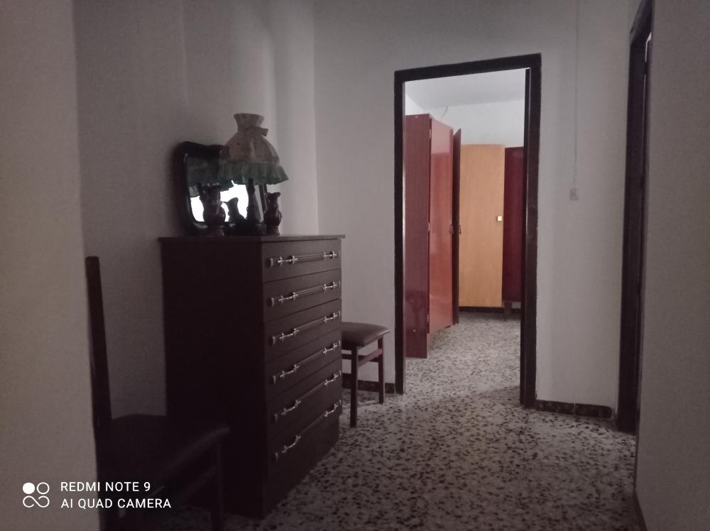 kaufen Haus Benamocarra Axarquía 4