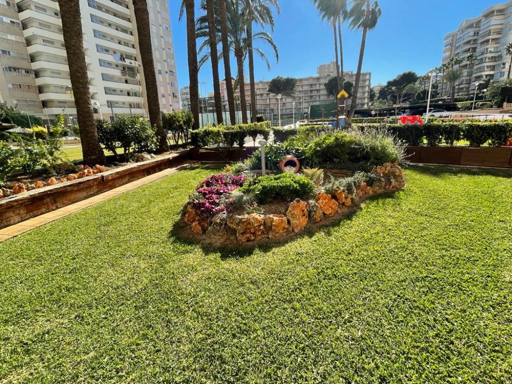  kaufen Wohnung Playa De San Juan Alacantí 37