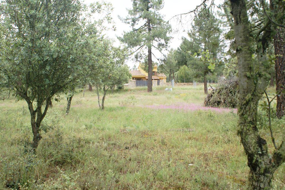  kaufen Grundstück Marugán Campiña Segoviana 10