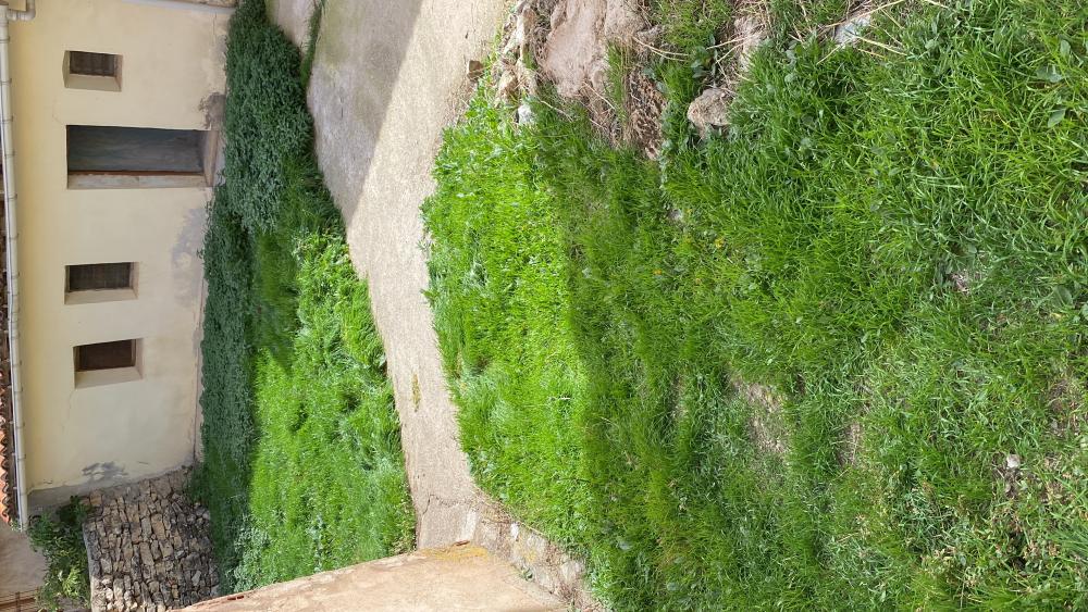  kaufen Wohnung Orihuela Del Tremedal Sierra De Albarracín (La) 6
