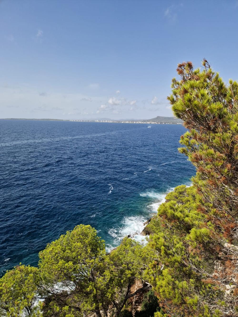  kaufen Grundstück Costa De Los Pinos Llevant 13