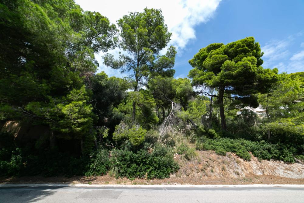 kaufen Grundstück Costa De Los Pinos Llevant 10