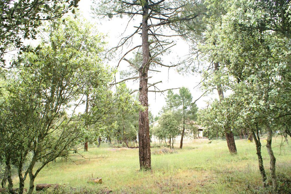  kaufen Grundstück Marugán Campiña Segoviana 9