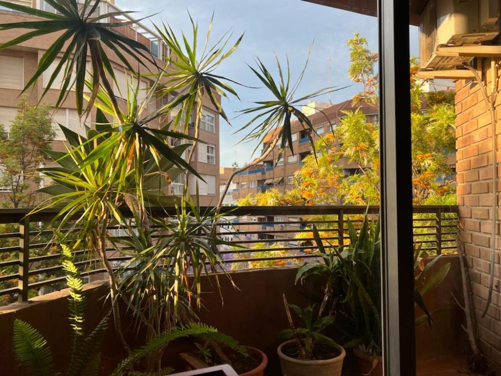  kaufen Wohnung La Saida Sant Antoni Valencia 13