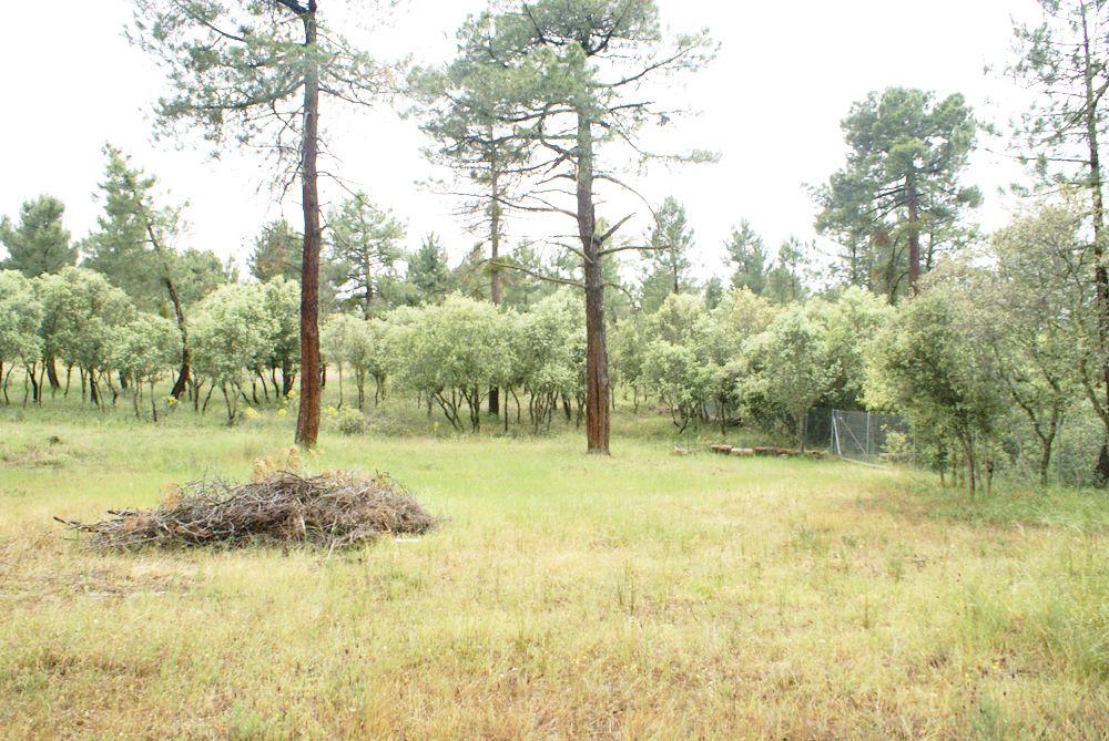  kaufen Grundstück Marugán Campiña Segoviana 12