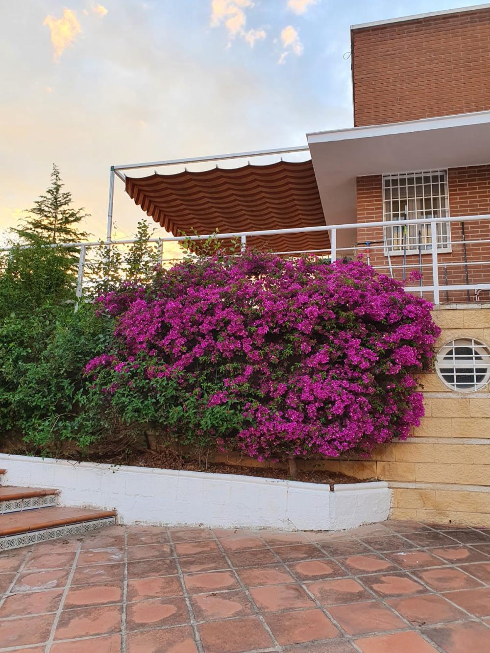  kaufen Landhaus Alcolea Córdoba 5