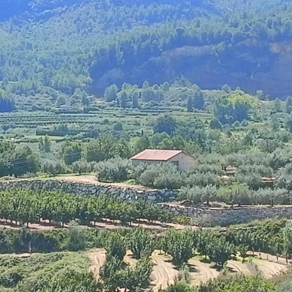 kaufen Haus Rugat Vall D'albaida 1