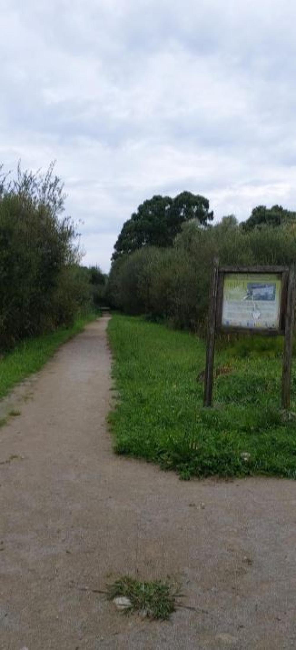  kaufen Villa Guarnizo Comarca De Santander 22
