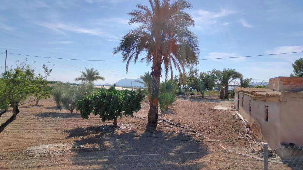  kaufen Landhaus La Murada Baix Segura 4