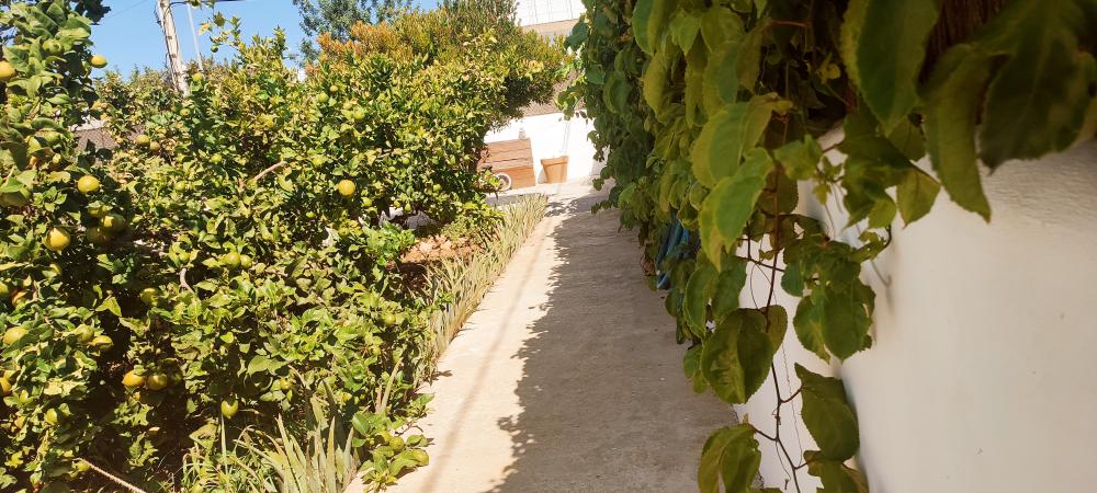  kaufen Haus Sant Jordi De Ses Salines Sant Josep De Sa Talaia 18