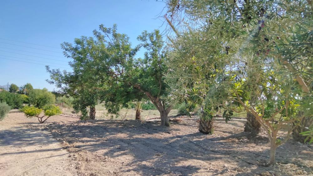  kaufen Landhaus La Murada Baix Segura 6