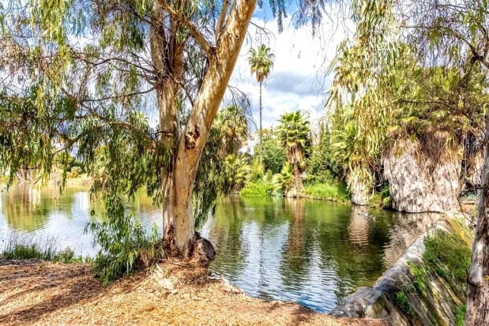 kaufen Wohnung Nueva Andalucía Costa Del Sol Occidental 21
