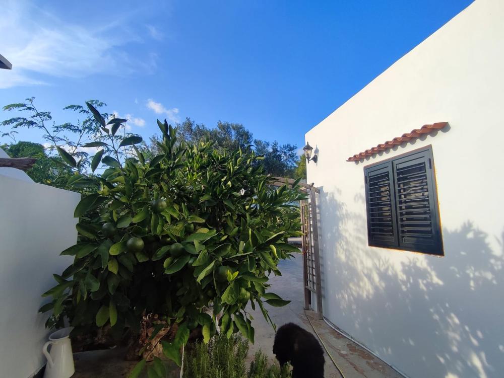  kaufen Haus Sant Jordi De Ses Salines Sant Josep De Sa Talaia 5