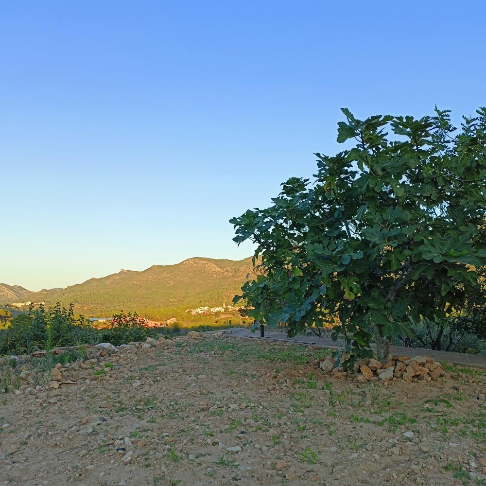  kaufen Haus Rugat Vall D'albaida 4